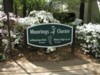 Cluster Sign